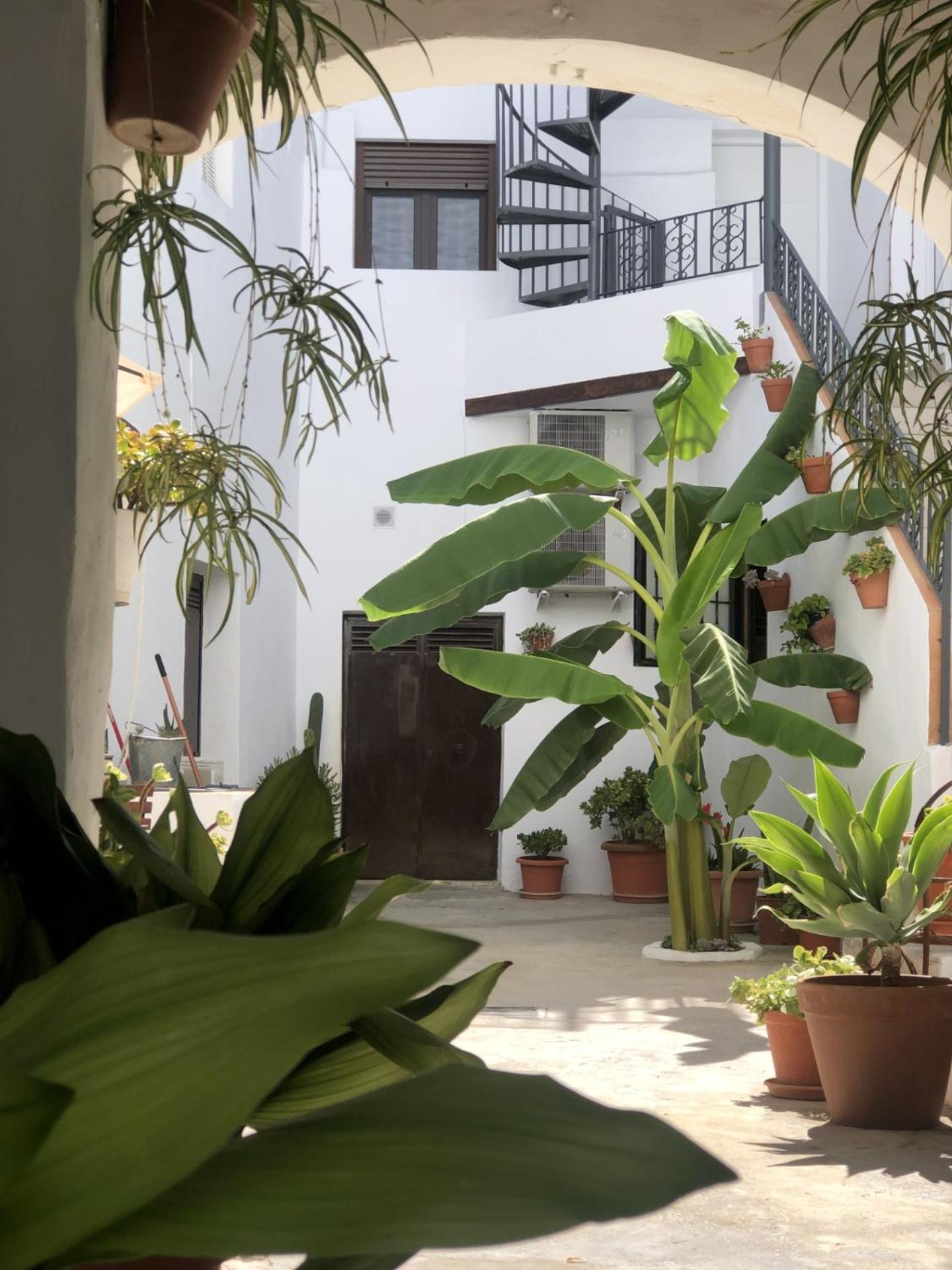 Loft La Abuela Apartment Vejer de la Frontera Ngoại thất bức ảnh